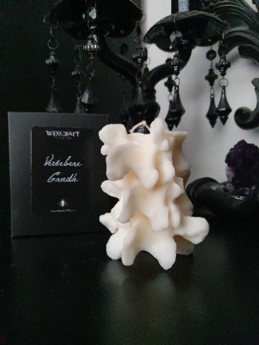 Vertebrae Candle | Default Title
