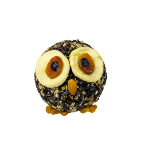 Hoot the Owl Seed Cylinder© 