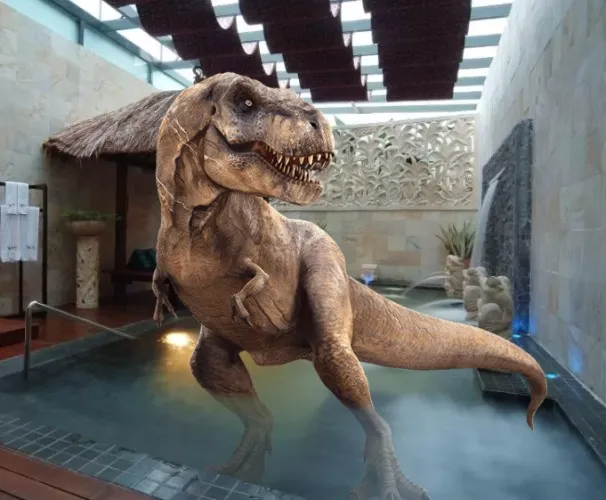 ❤️ May Vacay Fundz❤️