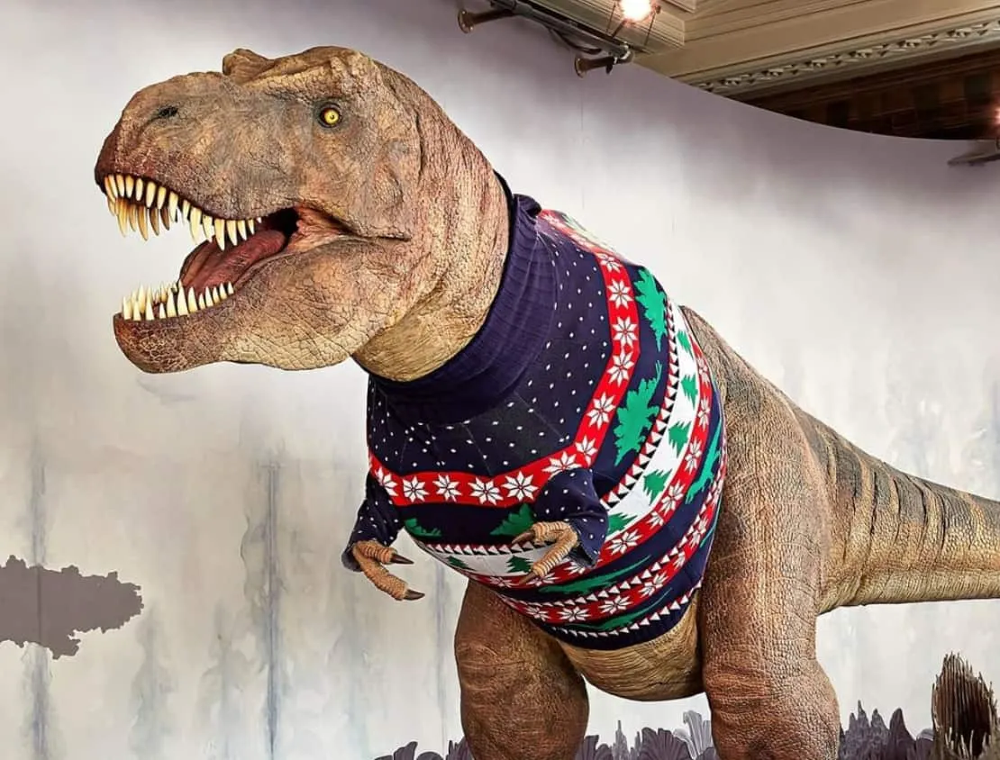 ❄️Winter Vacay Tip❄️