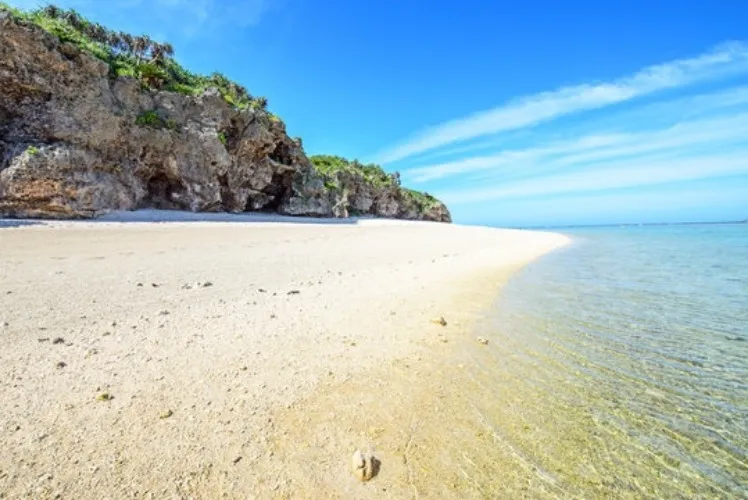 ❤️GW Vacay Pawsome Donate❤️