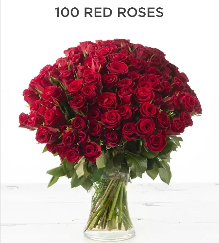 100 Red roses 🌹 