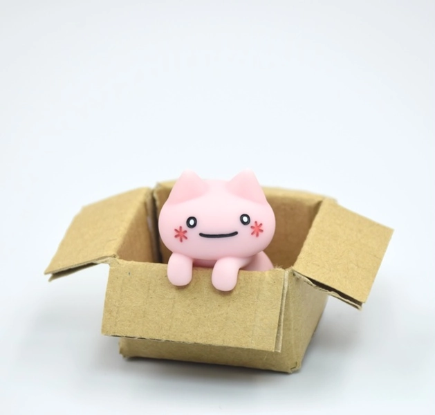 maebakoubo cat in box :3