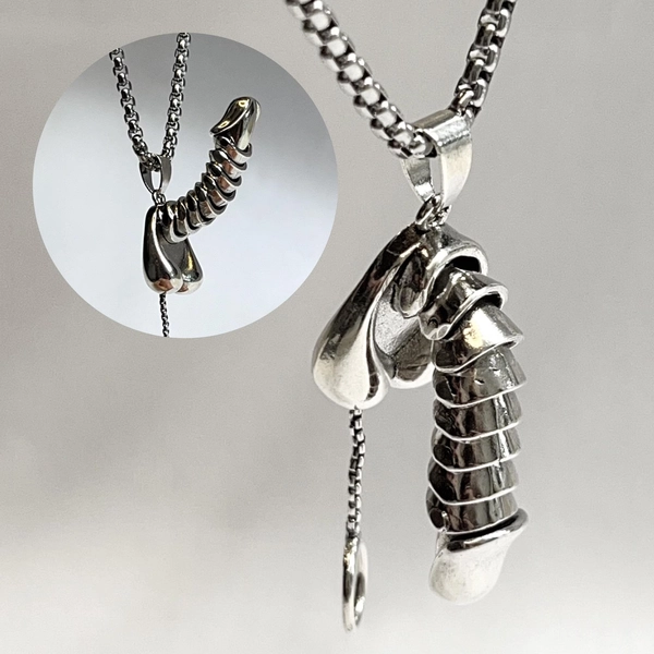 Penis Pendant Necklace, Stainless steel penis pendant necklace, Cock Jewelry, Necklace for Mens, Penis Jewelry, Gift for Her, Gift for Mens