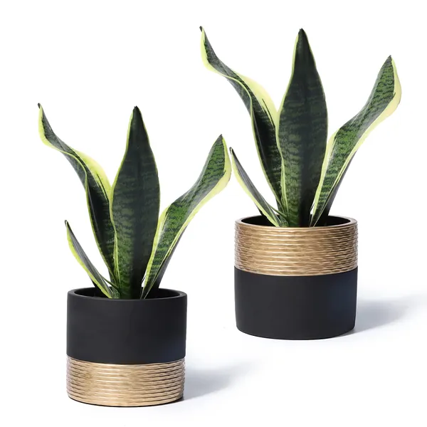 Cement Planters Pots for Plants Indoor - 5 Inch Concrete Succulent Flowerpot Bonsai Container with Drainage Holes(POTEY 054905, Set of 2, Plant NOT Included)