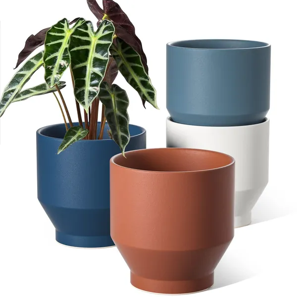 LE TAUCI Ceramic Flower Pots, 5.5 Inch Orchid Pot with Drainage Hole, Indoor Plant Pots with Hole Mesh Pad & Silicon Plug, Gifts for Mom, Set of 4, Assorted Colors