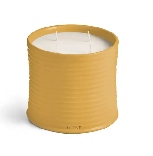 Vela grande 'Wasabi' - Loewe