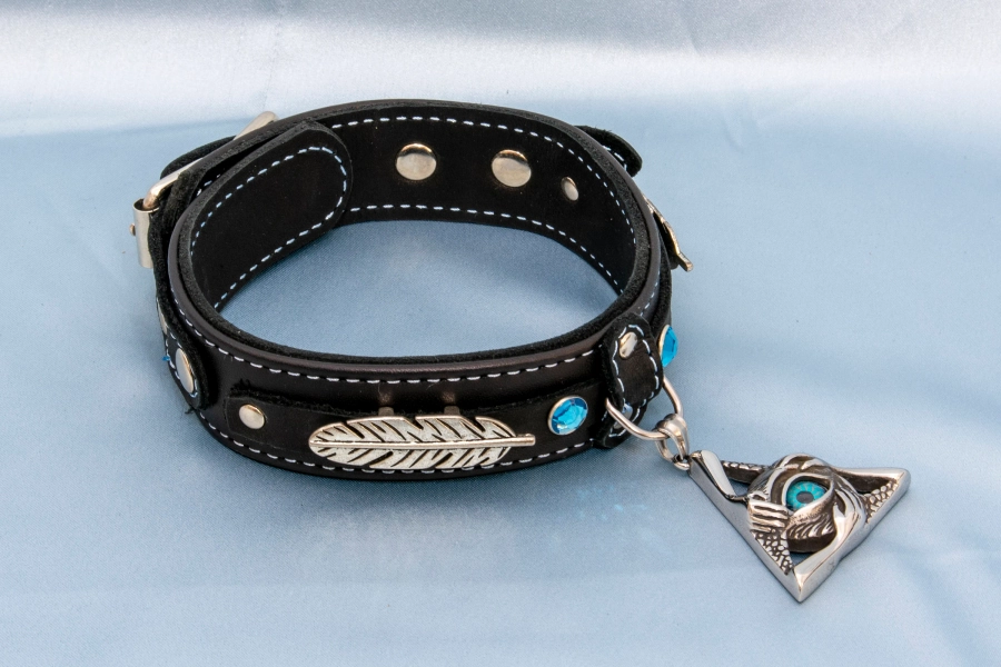 All-Seeing Eye Collar