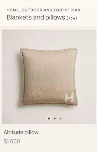 Altitude Pillow Hermes