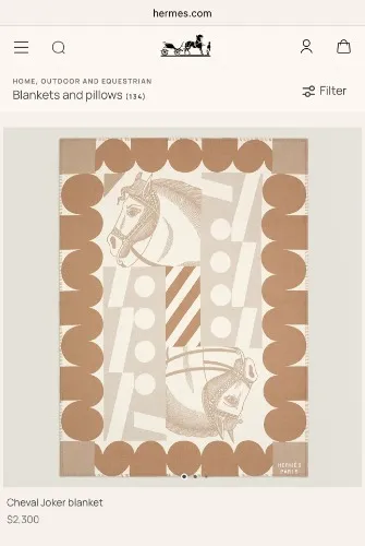 Blankets and Pillows Hermes