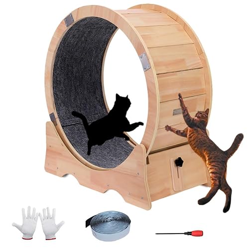 ZYDDNH Cat Wheel, Cat Treadmill,Cat Exercise Wheel, Cat Wheels for Indoor Cats Large，Cat Running Wheel ，Cat Wheel Eexerciser(Medium) - Medium