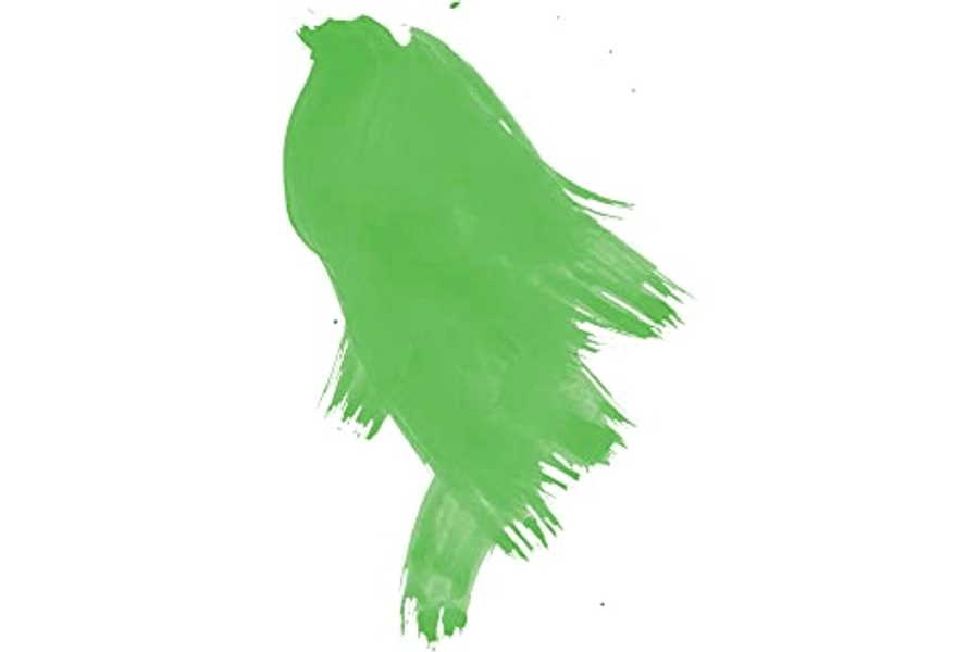 Daler-Rowney FW Pearlescent Acrylic Ink Bottle Macaw Green - Acrylic Drawing Ink for Artists and Students - Permanent Calligraphy Ink - Archival Ink for Illustrating and More