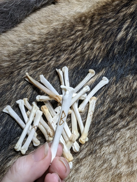 Bone Runesticks Elder Futhark Rune Set