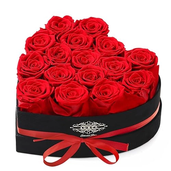 Agrul Valentines Day Roses Gifts for Her,Forever Preserved Flowers Roses in a Heart Shape Box,Anniversary Birthday Gifts for Wife Women Mom Best Friend Girlfriend/16Pcs Red Roses