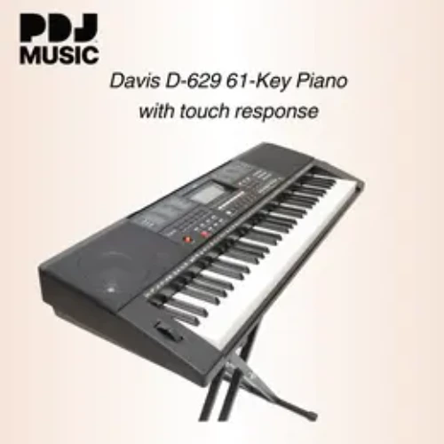 Davis D629 61 standard keys Electronic Piano Keyboard (touch responsive)