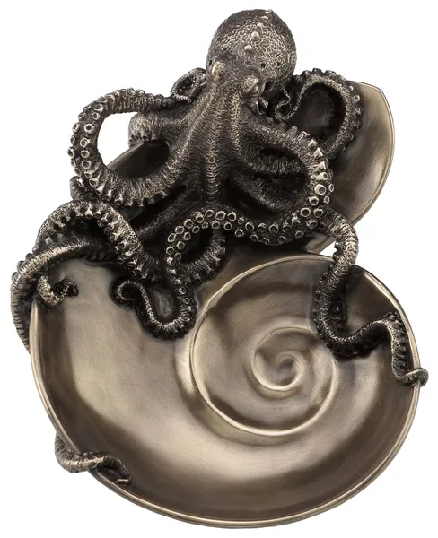 Veronese Design Container of Curiosity Bronze Finish Octopus On Nautilus Shell Tray