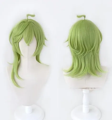 Zoro wig