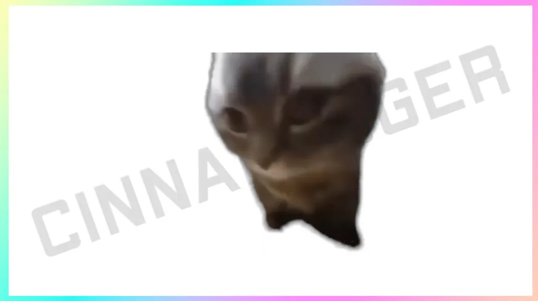 Transparent Background Chippi Chappa Stream Decoration for Channel Rewards and Cheer Redeems for Content Creators using OBS