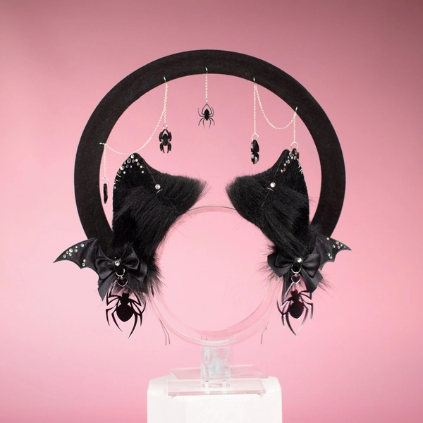 Spiders Cat - Moruhiko