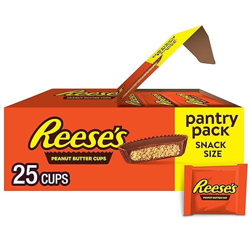 REESE'S Milk Chocolate Snack Size Peanut Butter Cups, Candy Pantry Pack, 13.75 oz (25 Pieces) - 25 Count (Pack of 1)
