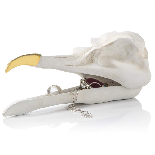 Bird Skull Jewelry Box