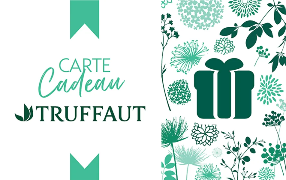 Truffaut €15 Gift Card