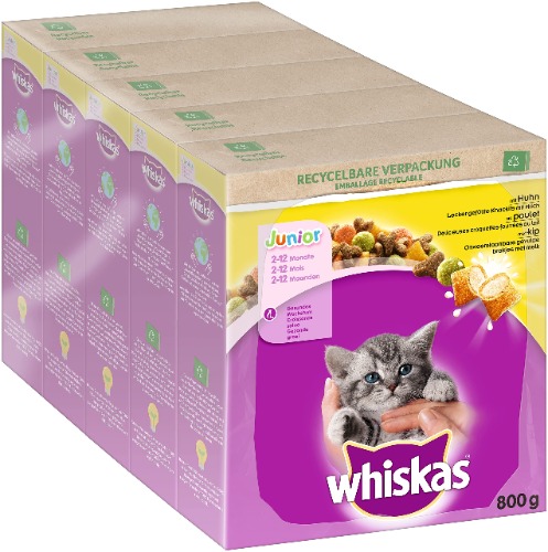 Kitten dry food! ʕ·ᴥ·ʔ 5 pack