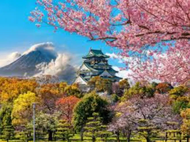 Japanese beauty 🏔️ 🌸 ✈️