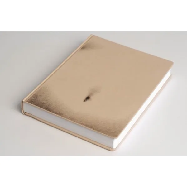 Kim Jung Gi - Omphalos (Erotic Sketchbook 2015)