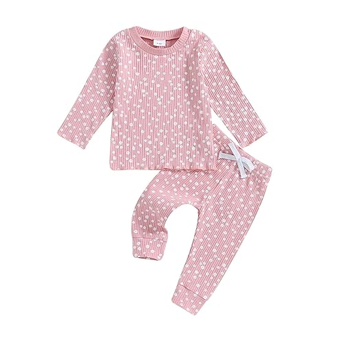 Baby Girl Fall Clothes Set Floral Print Long Sleeve Tops Pants Cute Infant Toddler Outfits 6 12 18 24 Months 2T - Floral Pink - 12-18 Months