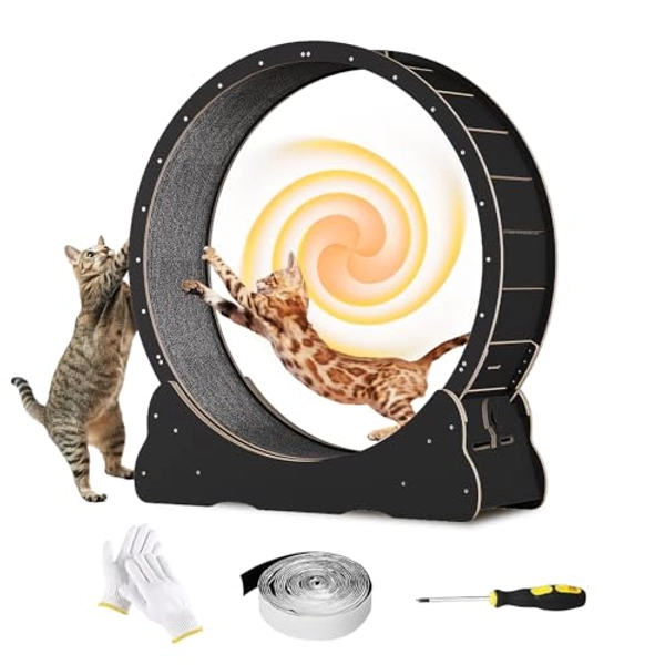 Homegroove Cat Exercise Wheel, 35.4 Inch Cat Wheels for Indoor Cats, Versatile Cat Running Wheel Treadmill with Detachable Carpet for Cat's Weight Loss and Health, Black(M)