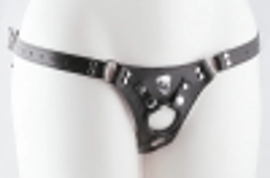 Aslan leather strap-on harness