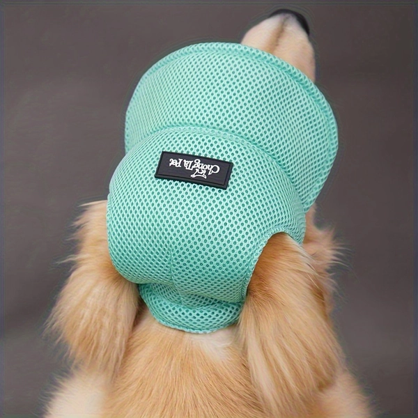 1pc breathable mesh dog baseball cap with ear holes cool stylish light green hat for golden retrievers corgis all dogs adjustable chin strap for   ideal for spring summer fall dog hat dog hats for small dogs pet headwear stylish pet accessory durable   | temu Temu Canada
