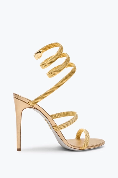 TRIGOLD Heels