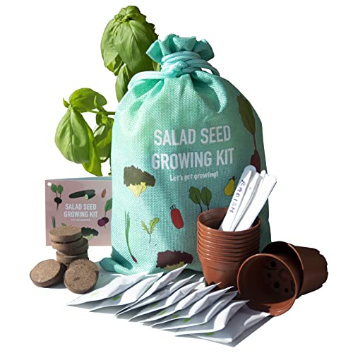 Scott&Co. Salad Seed Kit, 10 Different Vegetable Seed Varieties to Grow Your Own, Tomato, Lettuce, Cucumber and More. Veg Seeds, Pots, Labels and Compost. Gardening Gifts for Women and Men