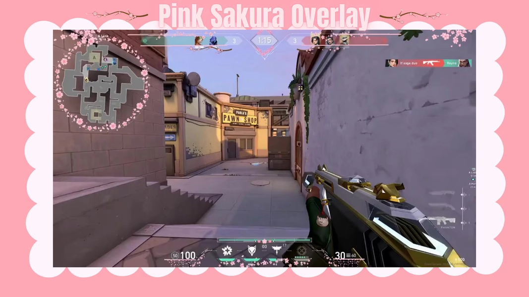 Valorant Sakura Stream Overlay