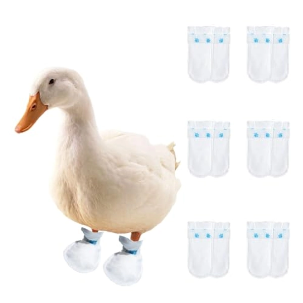 MANON ROSA Duck Shoes for Real Ducks Chickens 6-Pair Waterproof & Disposable Booties with Self-Adhesive Bandage for Waterfowl Wound Foot Care Bumblefoot (Waterproof Version,Small)