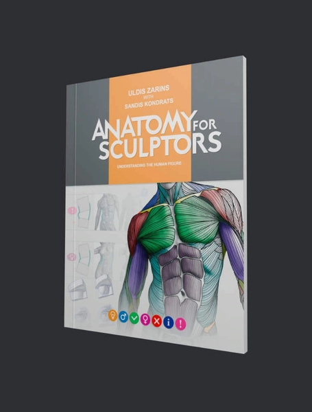 Understanding the Human Figure | by Anatomy For Sculptors®
