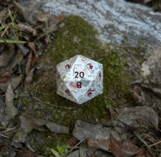 Bibliophile Chonk D20