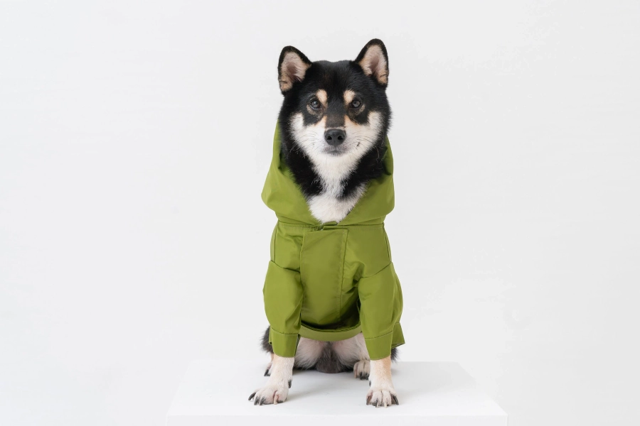 Dog Raincoat with Hood - Tribeca adjustable Velcro raincoat - Olive