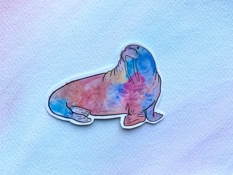 Walrus, waterproof animal sticker