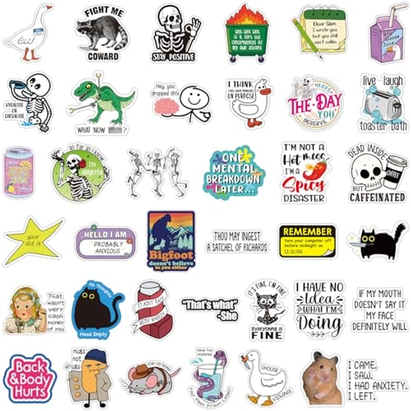 Chivertion 400 Pcs Funny Stickers for Adults Funny Water Bottles Stickers Pack Waterproof Cool Stickers for Laptop, Bumper, Phone, Hard Hats, Wall, Window Decals Decors, 50 Styles (Cute Style)