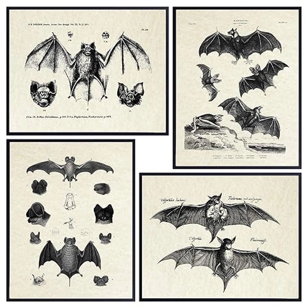 Bats Wall Decor - Vintage Retro Hipster Goth Art, Home or Room Decoration - Gift for Gothic, Horror, Vampire Fans - 8x10 UNFRAMED Creepy Scary Anatomical Picture Poster Print Set