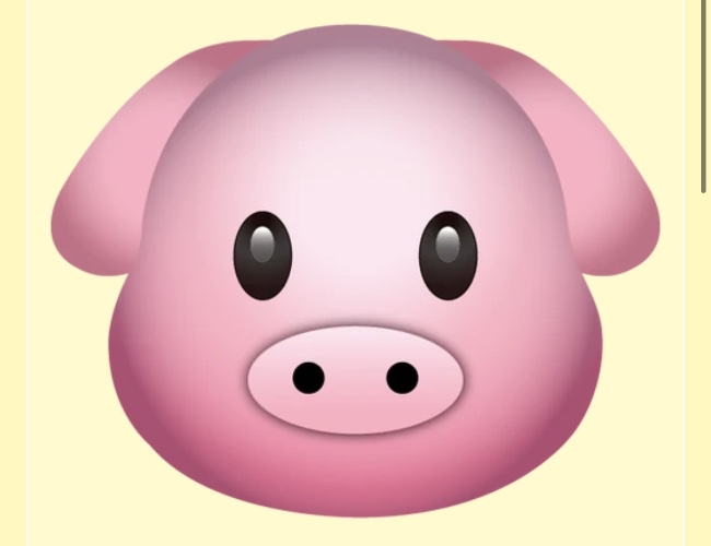 Pig 🐷 