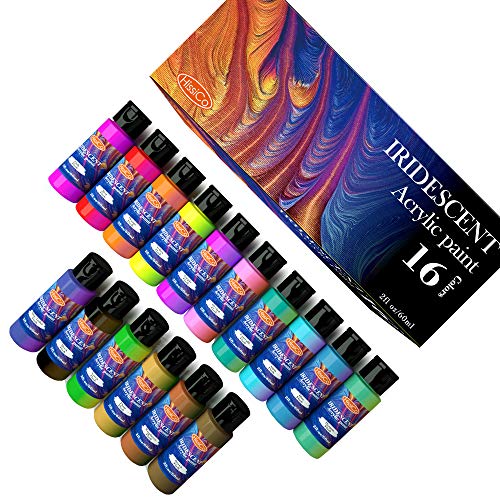 HissiCo Iridescent Acrylic Paint Set of 16 Chameleon Colors 60ml 2 OZ Bottles, High Viscosity Shimmer Paint for Artists, Beginners on Rocks, Crafts, Canvas, Wood, Fabric, Ceramic