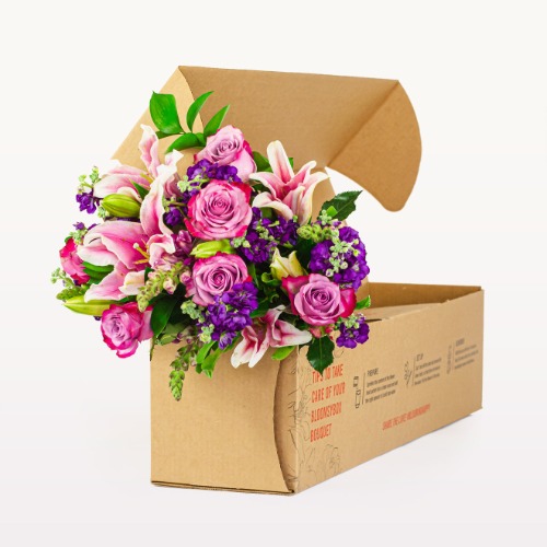 Bloomsy Weekly - Week to Week