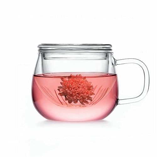 HOVOL Tea Mug with Infuser and Lid - 13.5oz Heat Resistant Borosilicate Glass, Clear Teacup with Strainer for Loose Leaf / Blooming Tea, and Tea Bags - Ideal for Tea Lovers - Clear tea cup-13.5 oz