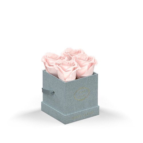 Le Petit | Dusty Blue Suede / Blush