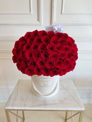 Be my valentine ❤️