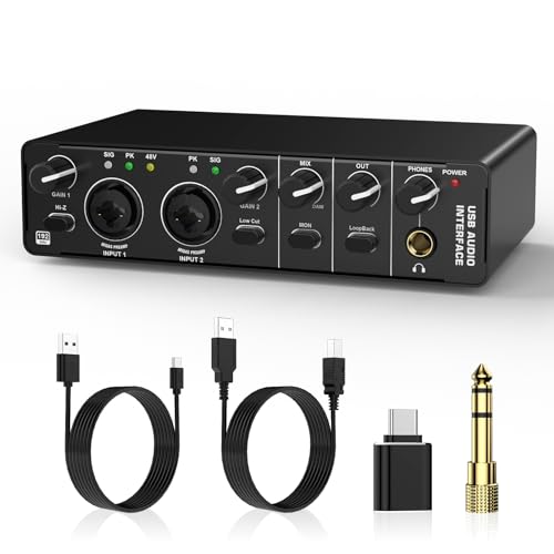 USB Audio Interface, RHM 2 In 2 Out Audio Interface with 48V Phantom Power for Recording, Professional Audio Mixer & Mic Preamplifier XLR/TSR/TS Ports for Guitarist, Vocalist, Podcaster or Producer